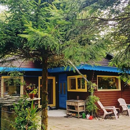 Het Houten Boshuisje Hattemerbroek Екстер'єр фото