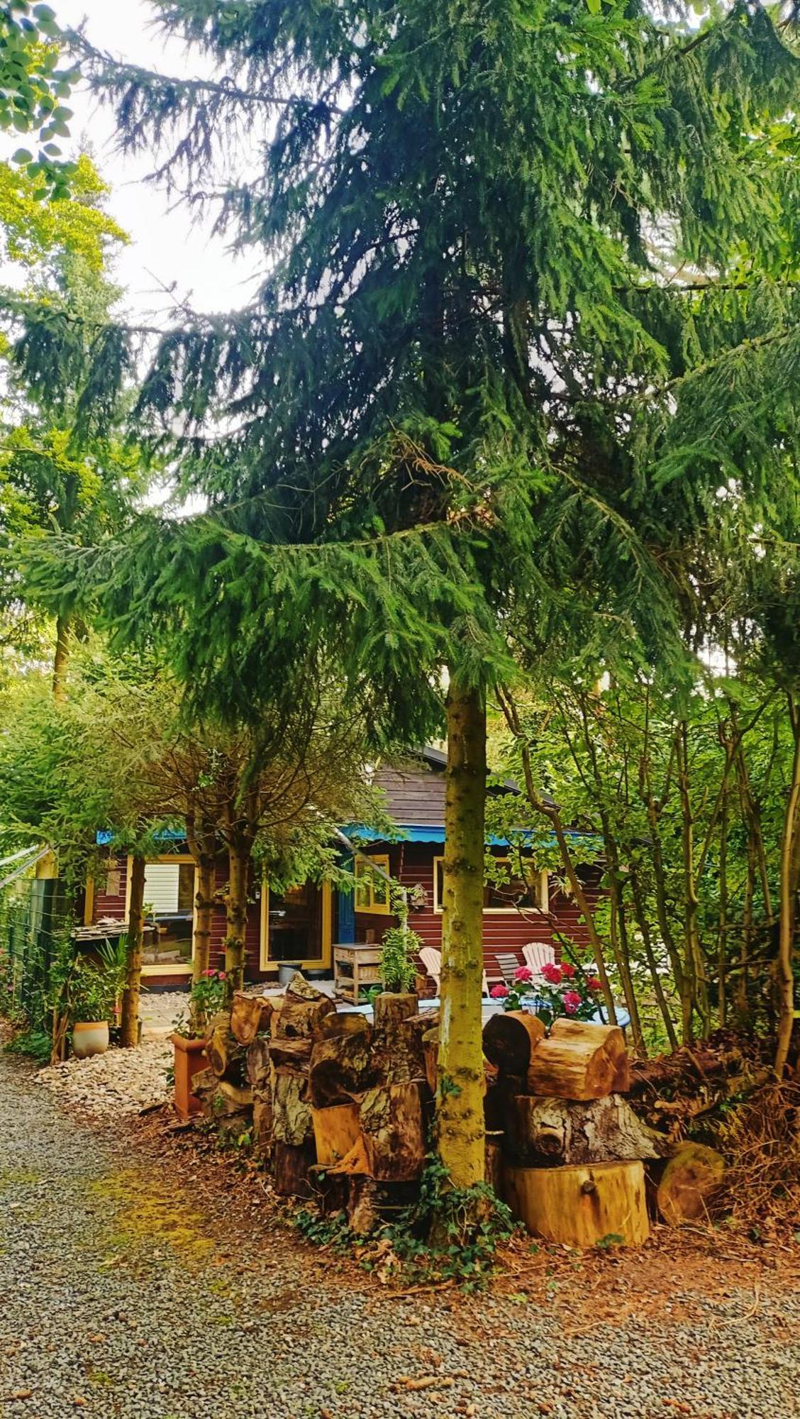 Het Houten Boshuisje Hattemerbroek Екстер'єр фото